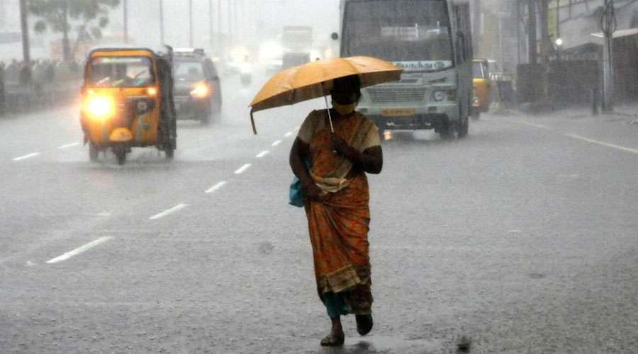 Rain 2024-12-04