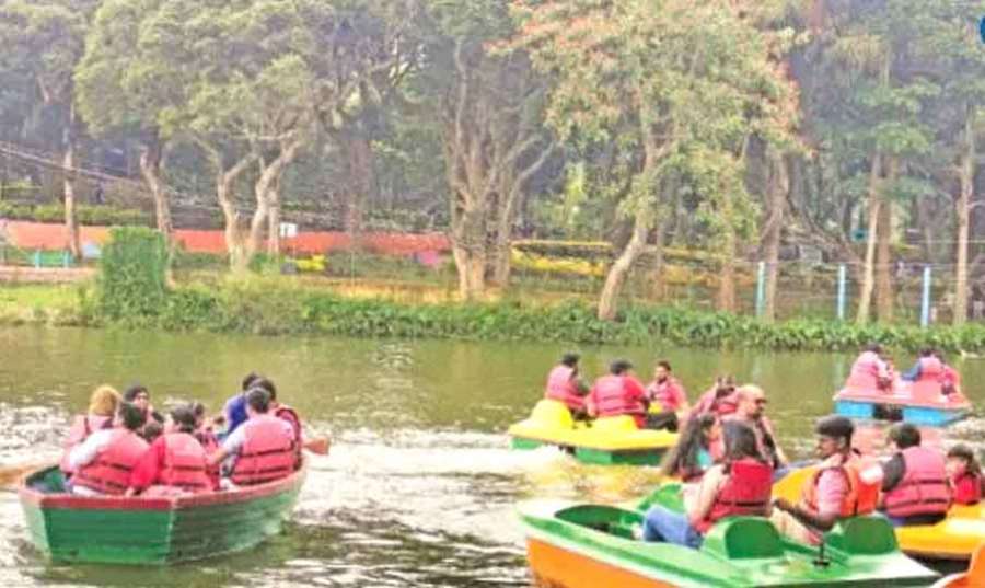 Yercaud 2024-08-25