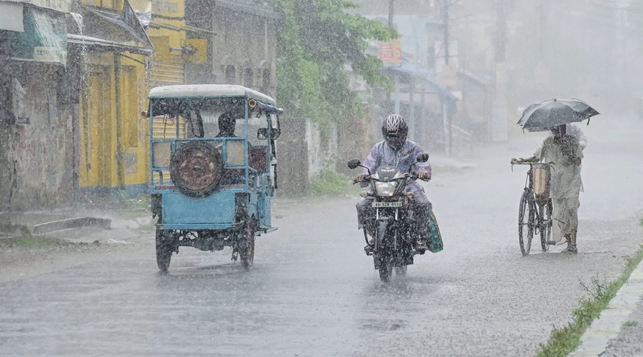 Rain 2024-12-02
