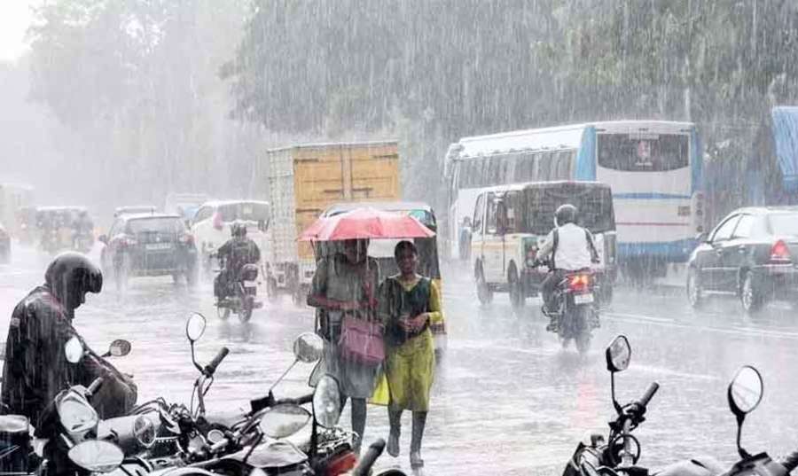 Rain 2024-11-18
