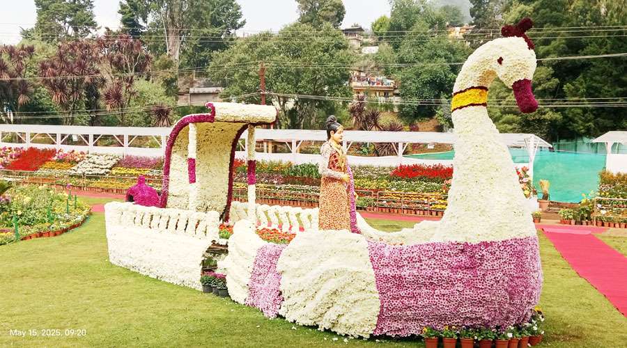 ooty-2025-05-21