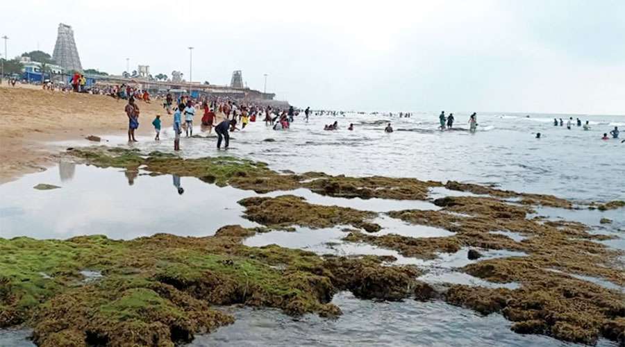 Tiruchendur-Sea-2025-05-31