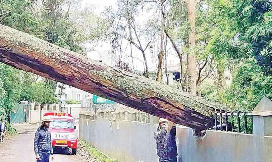 Ooty-city 2025-08-20