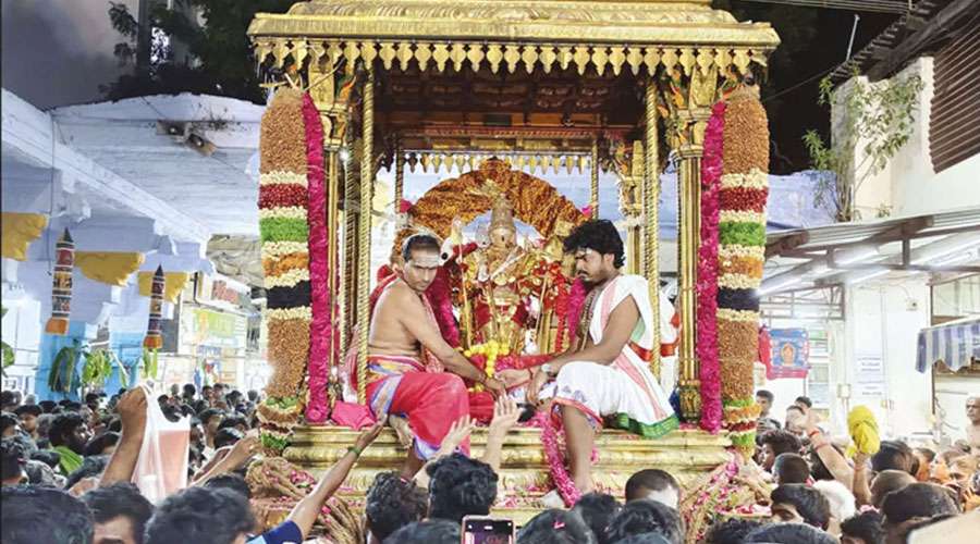 trichendur