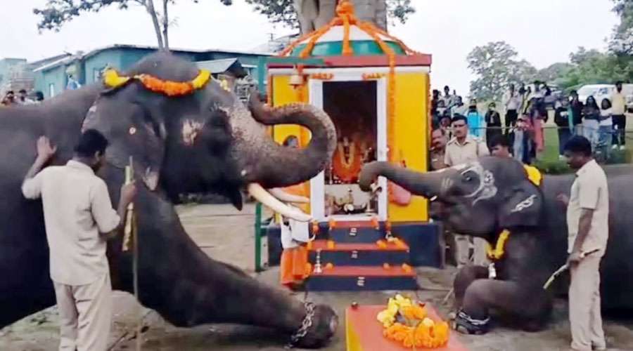Ganesha-Chaturthi-Festival-