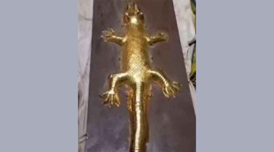 Golden-lizard-2025-11-07