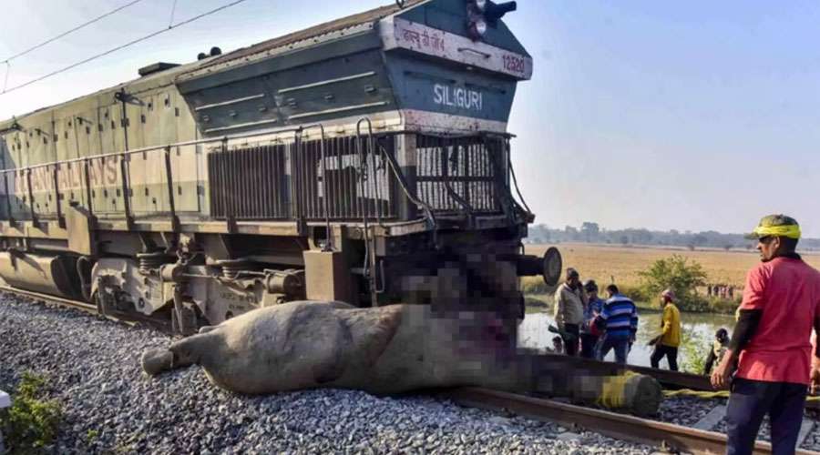 Assam -train-2025-12-20
