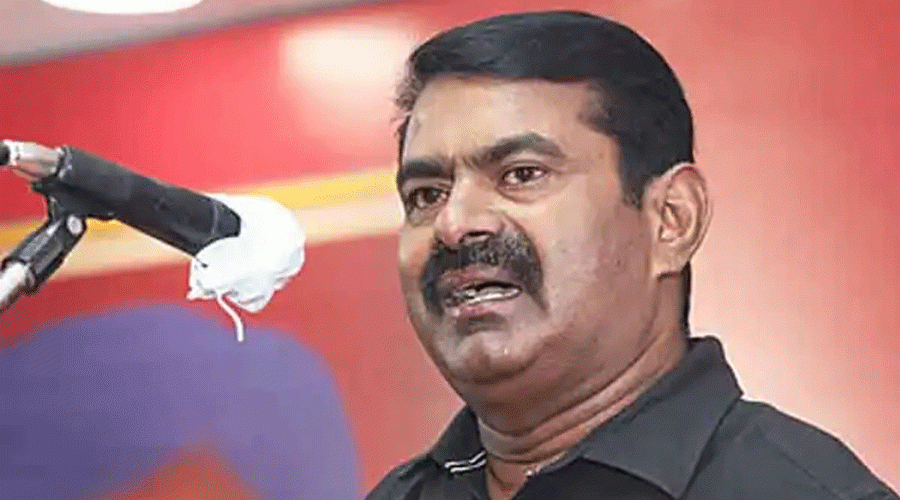 Seeman 2025-11-17